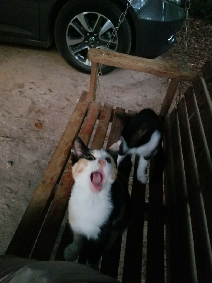 Hey Pandas, Post The Funniest Picture On Your Camera Roll (Closed) Hey Pandas, Post The Funniest Picture On Your Camera Roll (Closed)