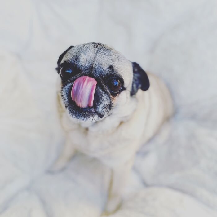 Hey Pandas, Post The Funniest Picture On Your Camera Roll (Closed) Hey Pandas, Post The Funniest Picture On Your Camera Roll (Closed)