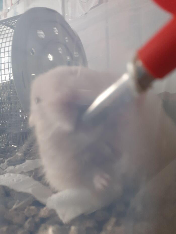 Hey Pandas, Post The Funniest Picture On Your Camera Roll (Closed) Hey Pandas, Post The Funniest Picture On Your Camera Roll (Closed)