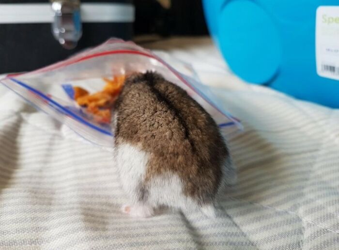 Hey Pandas, Post The Funniest Picture On Your Camera Roll (Closed) Hey Pandas, Post The Funniest Picture On Your Camera Roll (Closed)