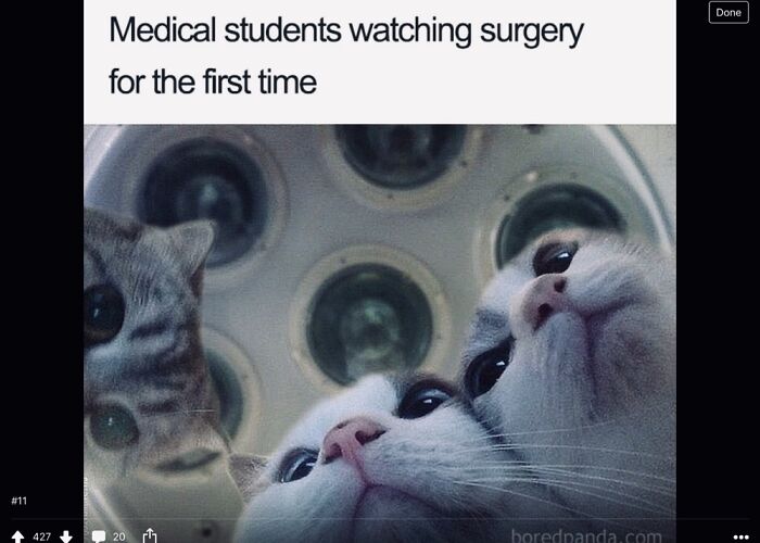 Hey Pandas, Post The Funniest Picture On Your Camera Roll (Closed) Hey Pandas, Post The Funniest Picture On Your Camera Roll (Closed)