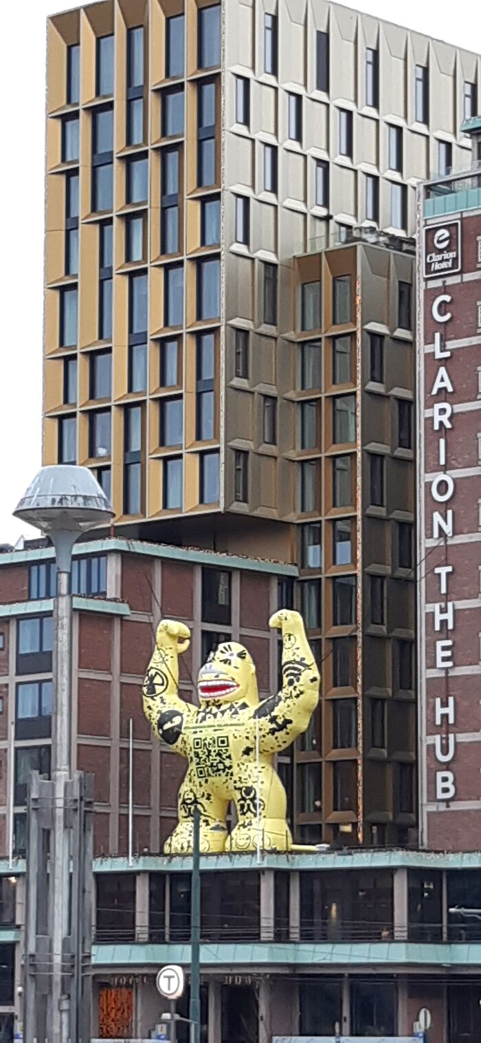 Hey Pandas, Post The Funniest Picture On Your Camera Roll (Closed) Hey Pandas, Post The Funniest Picture On Your Camera Roll (Closed)