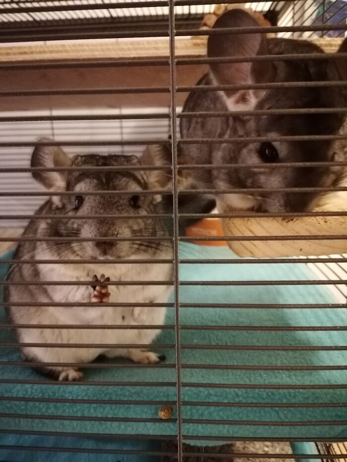 Hey Pandas, Post The Funniest Picture On Your Camera Roll (Closed) Hey Pandas, Post The Funniest Picture On Your Camera Roll (Closed)