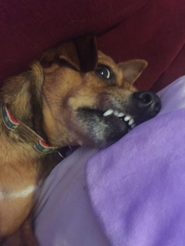 Hey Pandas, Post The Funniest Picture On Your Camera Roll (Closed) Hey Pandas, Post The Funniest Picture On Your Camera Roll (Closed)