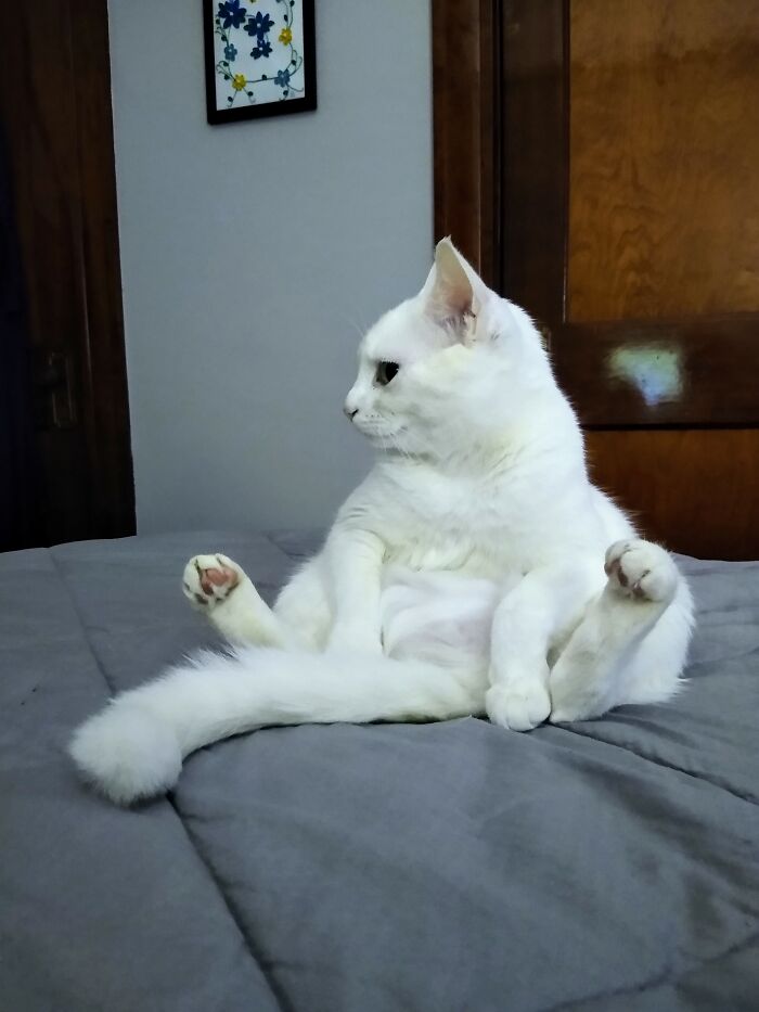 Hey Pandas, Post The Funniest Picture On Your Camera Roll (Closed) Hey Pandas, Post The Funniest Picture On Your Camera Roll (Closed)