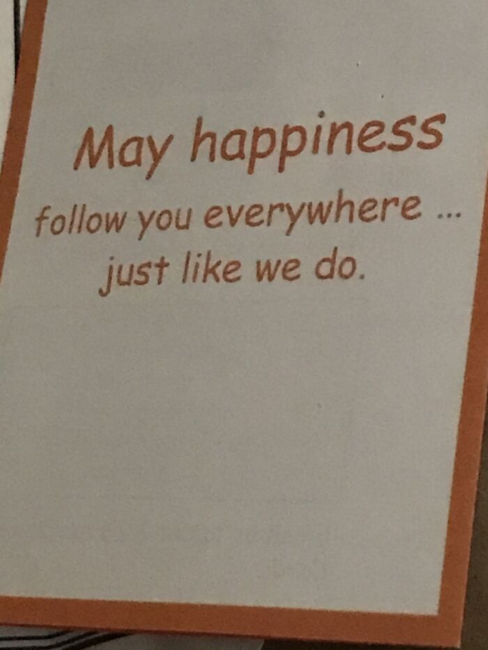 Hey Pandas, Post The Funniest Picture On Your Camera Roll (Closed) Hey Pandas, Post The Funniest Picture On Your Camera Roll (Closed)