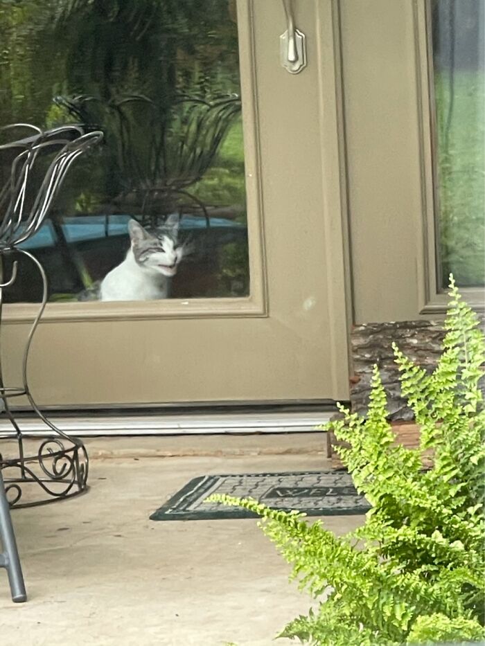 Hey Pandas, Post The Funniest Picture On Your Camera Roll (Closed) Hey Pandas, Post The Funniest Picture On Your Camera Roll (Closed)