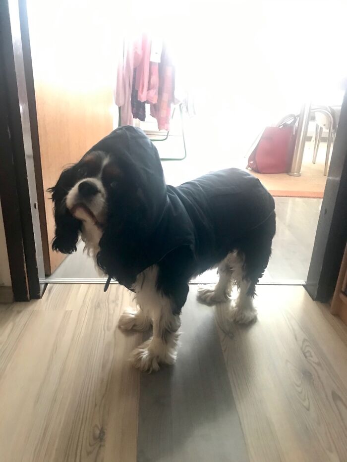 Hey Pandas, Post The Funniest Picture On Your Camera Roll (Closed) Hey Pandas, Post The Funniest Picture On Your Camera Roll (Closed)