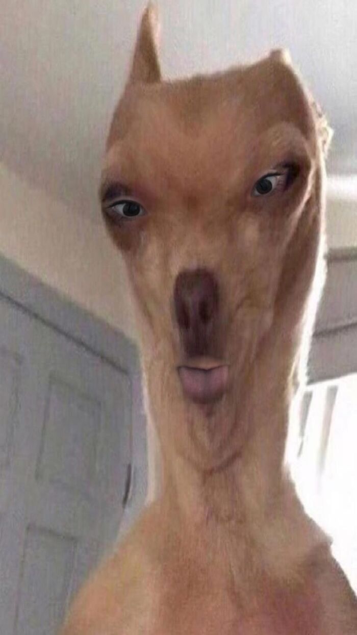 Hey Pandas, Post The Funniest Picture On Your Camera Roll (Closed) Hey Pandas, Post The Funniest Picture On Your Camera Roll (Closed)