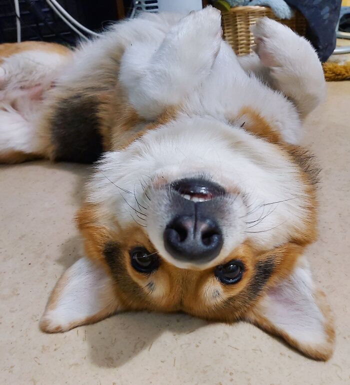 Hey Pandas, Post The Funniest Picture On Your Camera Roll (Closed) Hey Pandas, Post The Funniest Picture On Your Camera Roll (Closed)