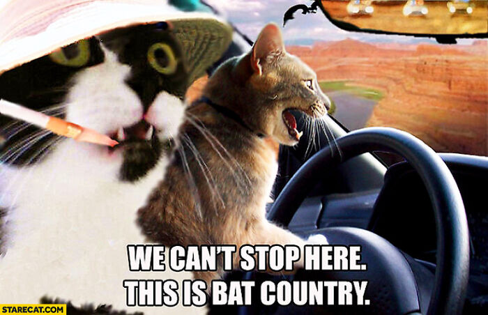 Hey Pandas, Post The Funniest Picture On Your Camera Roll (Closed) Hey Pandas, Post The Funniest Picture On Your Camera Roll (Closed)