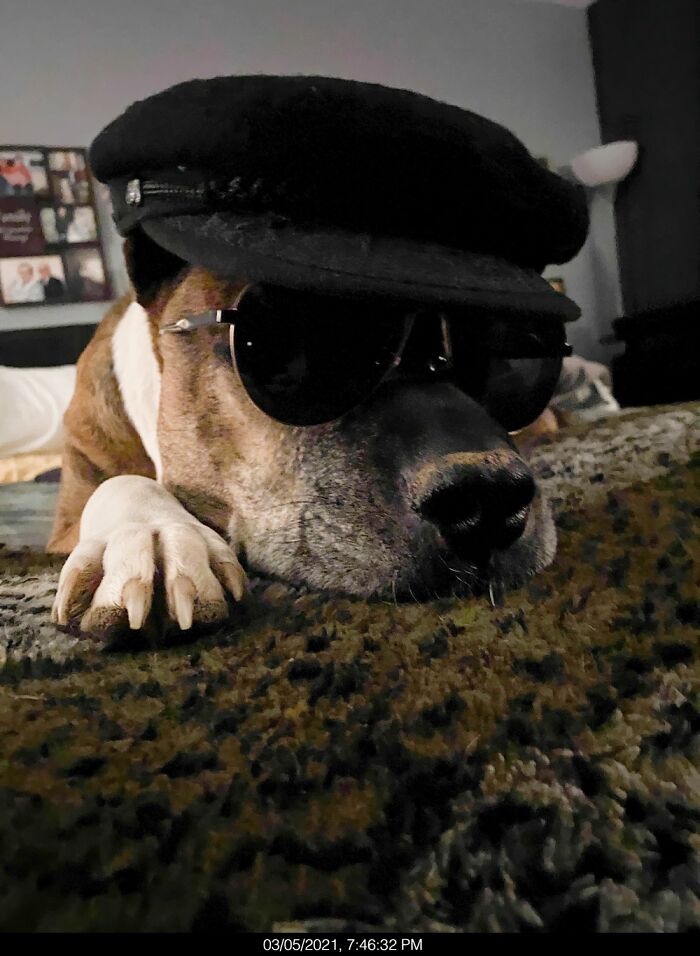 Hey Pandas, Post The Funniest Picture On Your Camera Roll (Closed) Hey Pandas, Post The Funniest Picture On Your Camera Roll (Closed)