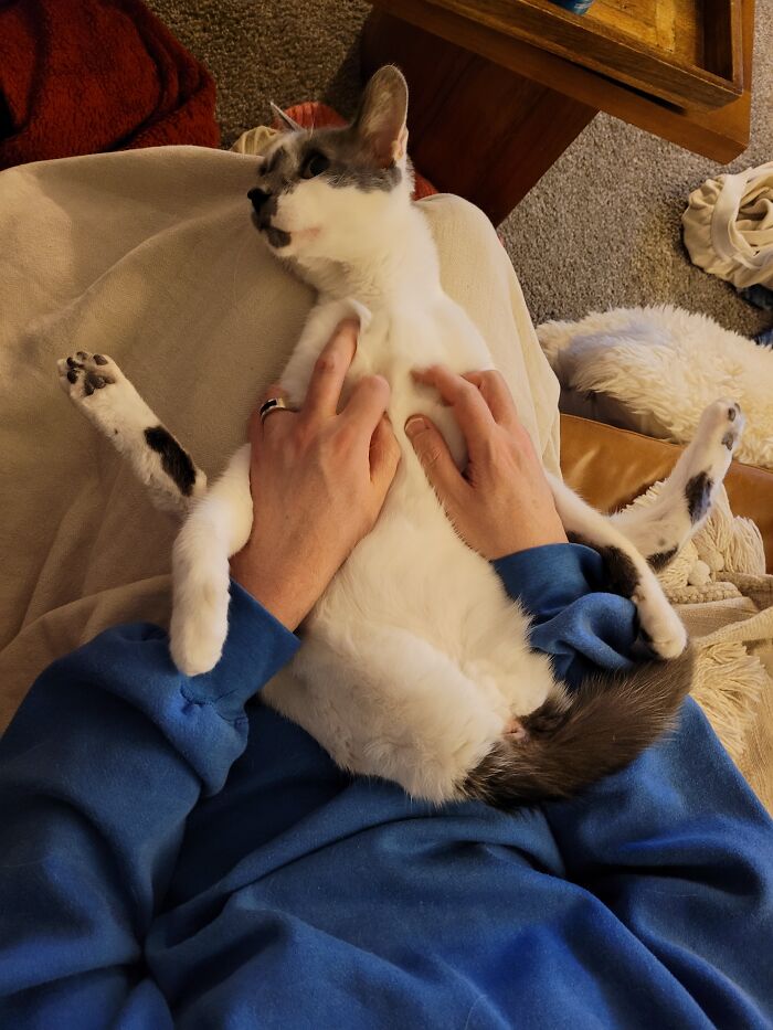 Hey Pandas, Post The Funniest Picture On Your Camera Roll (Closed) Hey Pandas, Post The Funniest Picture On Your Camera Roll (Closed)