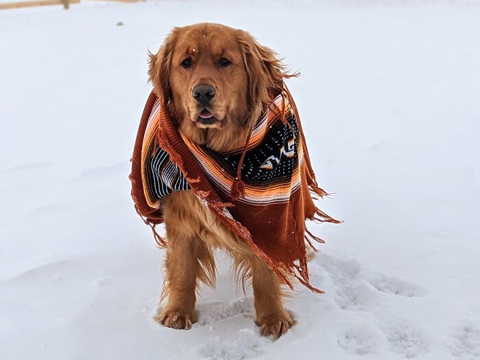 Hey Pandas, Post The Funniest Picture On Your Camera Roll (Closed) Hey Pandas, Post The Funniest Picture On Your Camera Roll (Closed)