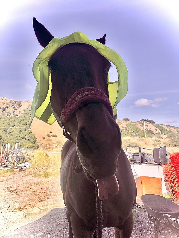 Hey Pandas, Post The Funniest Picture On Your Camera Roll (Closed) Hey Pandas, Post The Funniest Picture On Your Camera Roll (Closed)