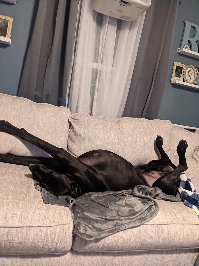 Hey Pandas, Post The Funniest Picture On Your Camera Roll (Closed) Hey Pandas, Post The Funniest Picture On Your Camera Roll (Closed)