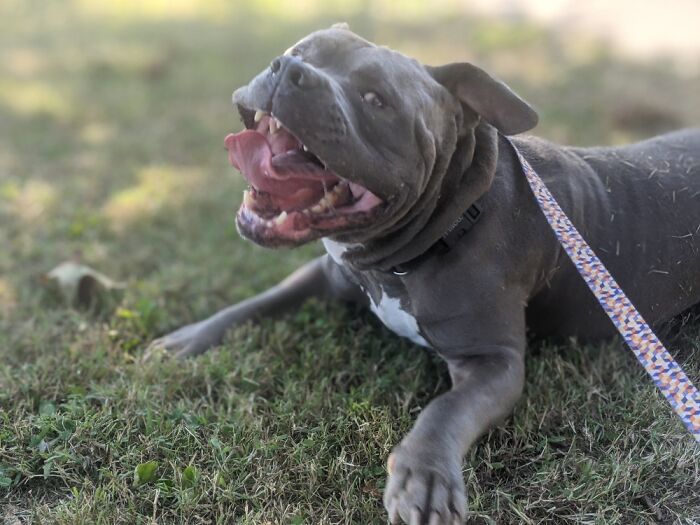 Hey Pandas, Post The Funniest Picture On Your Camera Roll (Closed) Hey Pandas, Post The Funniest Picture On Your Camera Roll (Closed)