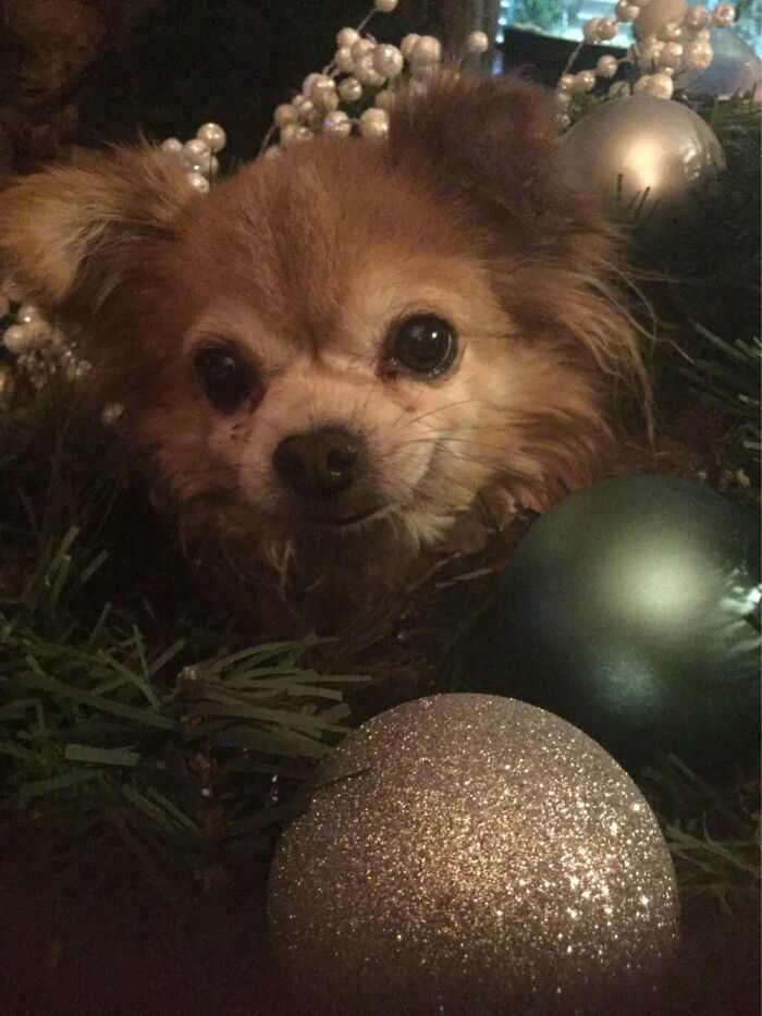 Hey Pandas, Post The Funniest Picture On Your Camera Roll (Closed) Hey Pandas, Post The Funniest Picture On Your Camera Roll (Closed)