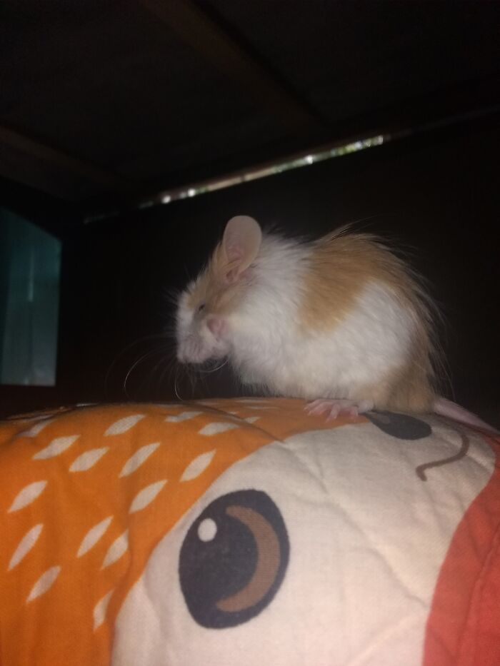 Hey Pandas, Post The Funniest Picture On Your Camera Roll (Closed) Hey Pandas, Post The Funniest Picture On Your Camera Roll (Closed)