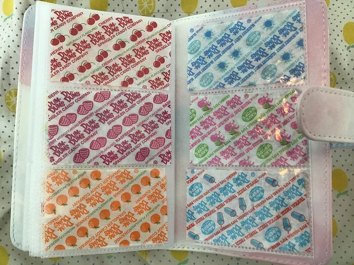 Hey Pandas, What Are Some Things You Have A Collection Of? (Closed) Hey Pandas, What Are Some Things You Have A Collection Of? (Closed)