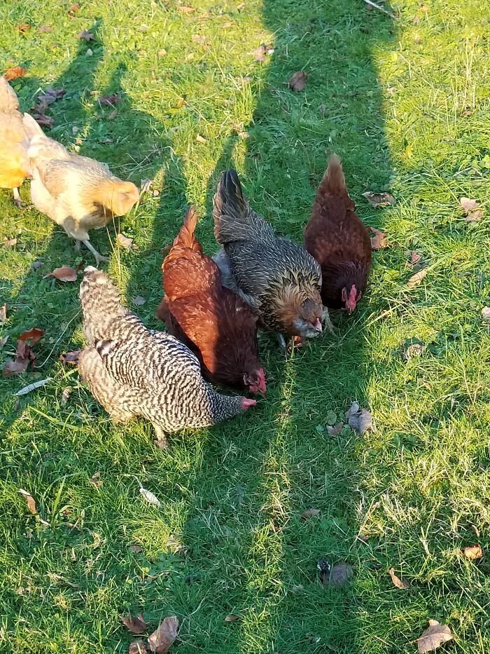 Hey Pandas, What Are Some Things You Have A Collection Of? (Closed) Hey Pandas, What Are Some Things You Have A Collection Of? (Closed)