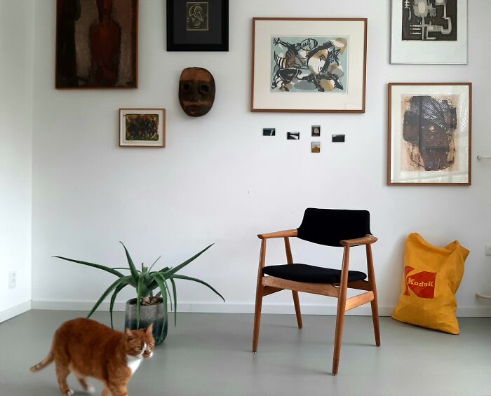 Hey Pandas, What Are Some Things You Have A Collection Of? (Closed) Hey Pandas, What Are Some Things You Have A Collection Of? (Closed)