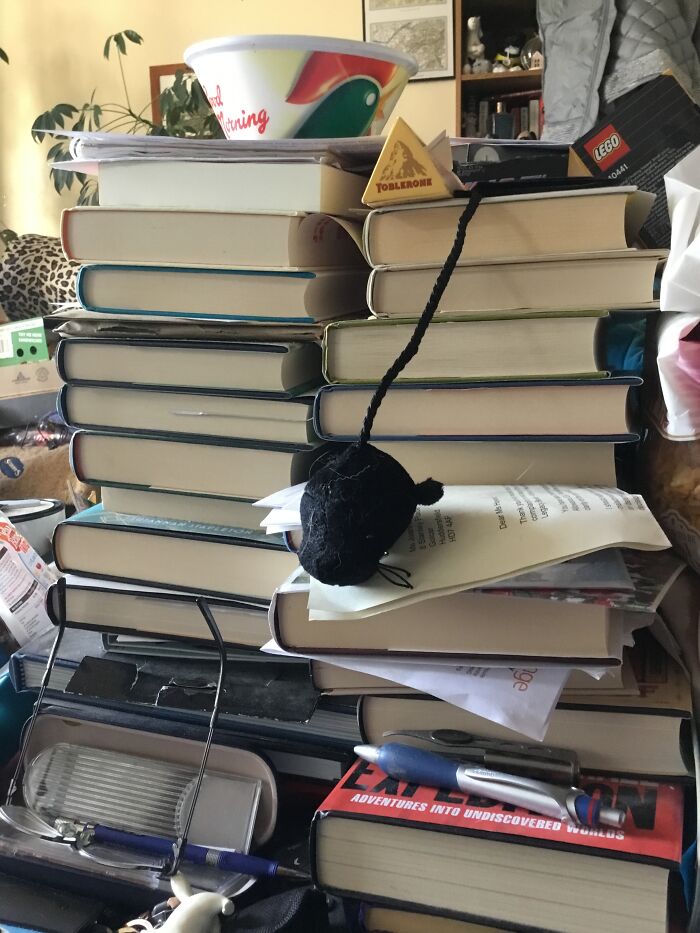 Hey Pandas, What Are Some Things You Have A Collection Of? (Closed) Hey Pandas, What Are Some Things You Have A Collection Of? (Closed)