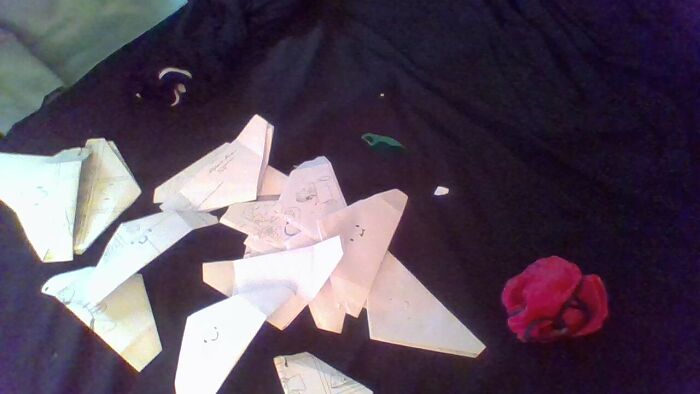 Hey Pandas, What Are Some Things You Have A Collection Of? (Closed) Hey Pandas, What Are Some Things You Have A Collection Of? (Closed)