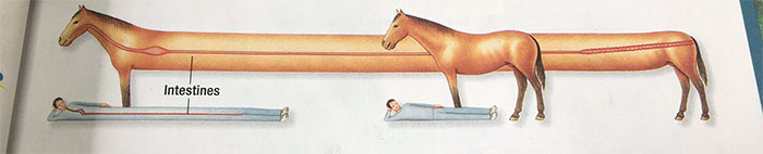 50 Bizarre Science Diagrams That Are Actually Real, As Shared On This Page 50 Bizarre Science Diagrams That Are Actually Real, As Shared On This Page