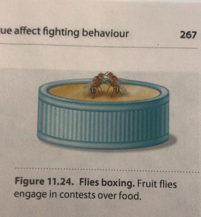 50 Bizarre Science Diagrams That Are Actually Real, As Shared On This Page 50 Bizarre Science Diagrams That Are Actually Real, As Shared On This Page