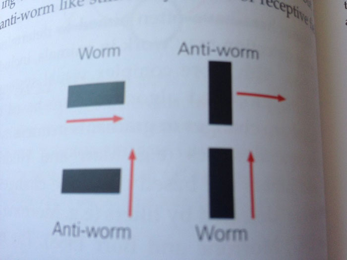 50 Bizarre Science Diagrams That Are Actually Real, As Shared On This Page 50 Bizarre Science Diagrams That Are Actually Real, As Shared On This Page