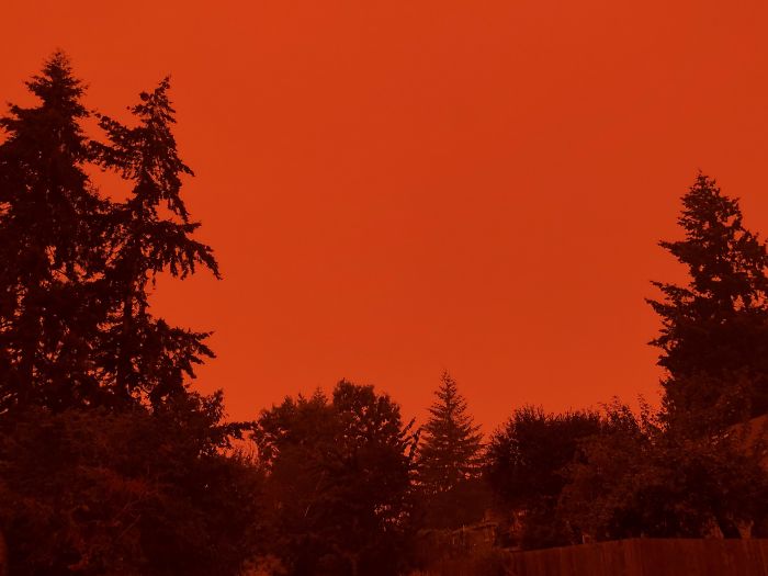 50 Real-Life Photos That Look Like Screenshots Of A Video Game Or A Movie Set 50 Real-Life Photos That Look Like Screenshots Of A Video Game Or A Movie Set