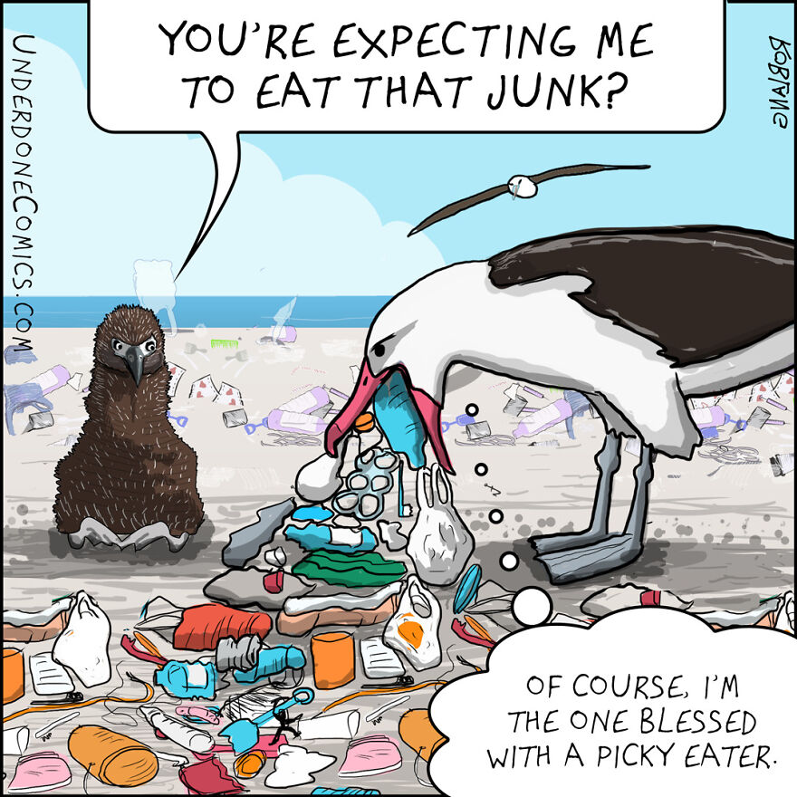 I Draw Comics To Show How Plastic Waste Affects Marine Life (30 Pics) I Draw Comics To Show How Plastic Waste Affects Marine Life (30 Pics)