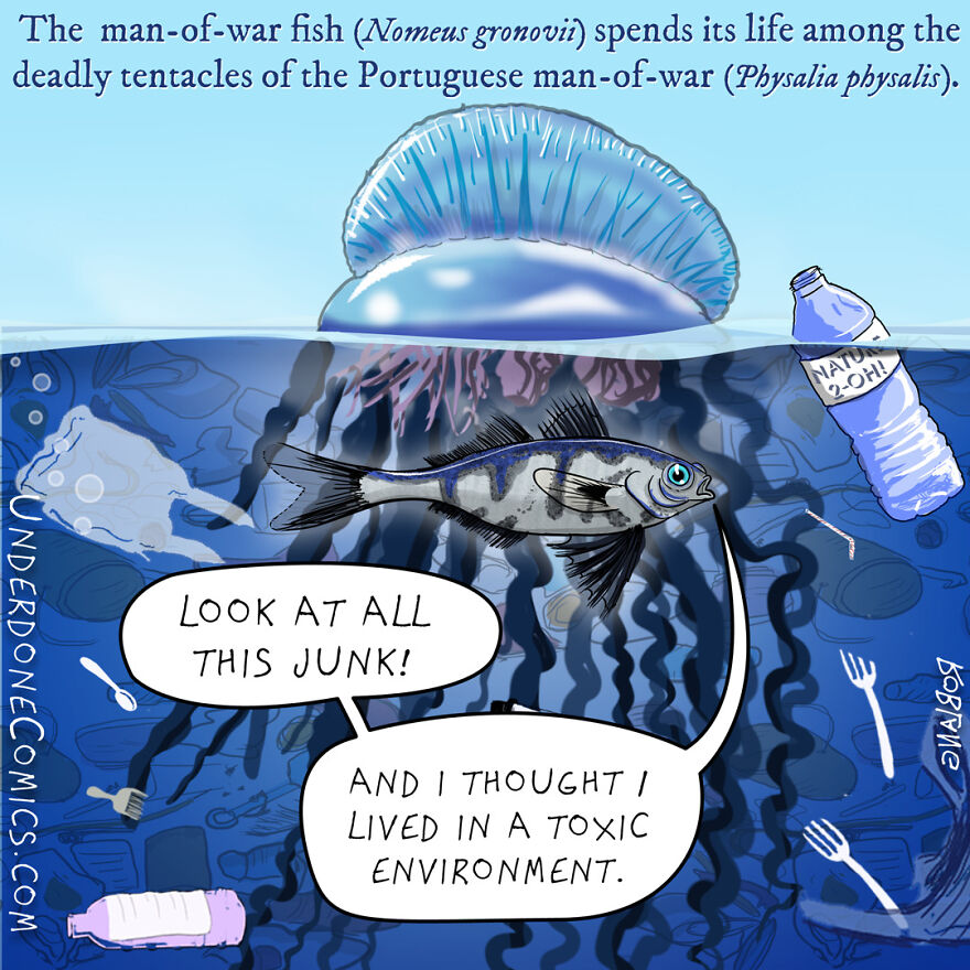I Draw Comics To Show How Plastic Waste Affects Marine Life (30 Pics) I Draw Comics To Show How Plastic Waste Affects Marine Life (30 Pics)