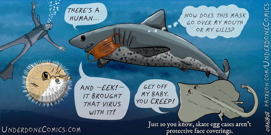 I Draw Comics To Show How Plastic Waste Affects Marine Life (30 Pics) I Draw Comics To Show How Plastic Waste Affects Marine Life (30 Pics)