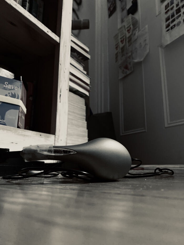 Hey Pandas, Take A Photo From An Object’s Perspective (Closed) Hey Pandas, Take A Photo From An Object’s Perspective (Closed)