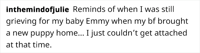 Artist Who Makes People Cry With Her Comics Released A Sequel To ‘Little Fish’ About The Spirit Of A Dog Visiting Its Owner Who Got A New Puppy Artist Who Makes People Cry With Her Comics Released A Sequel To ‘Little Fish’ About The Spirit Of A Dog Visiting Its Owner Who Got A New Puppy