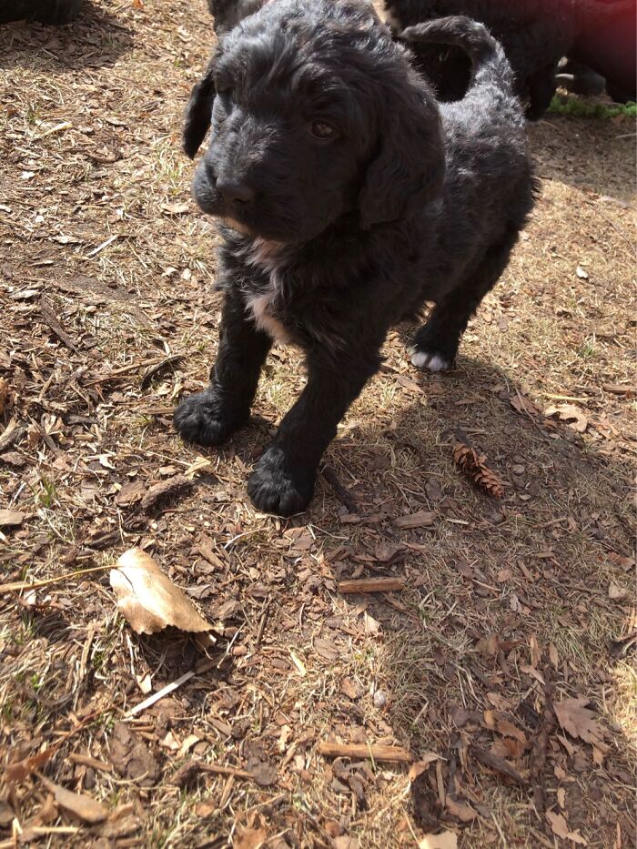 Hey Pandas, What Is The Cutest Thing On Your Camera Roll? (Closed) Hey Pandas, What Is The Cutest Thing On Your Camera Roll? (Closed)