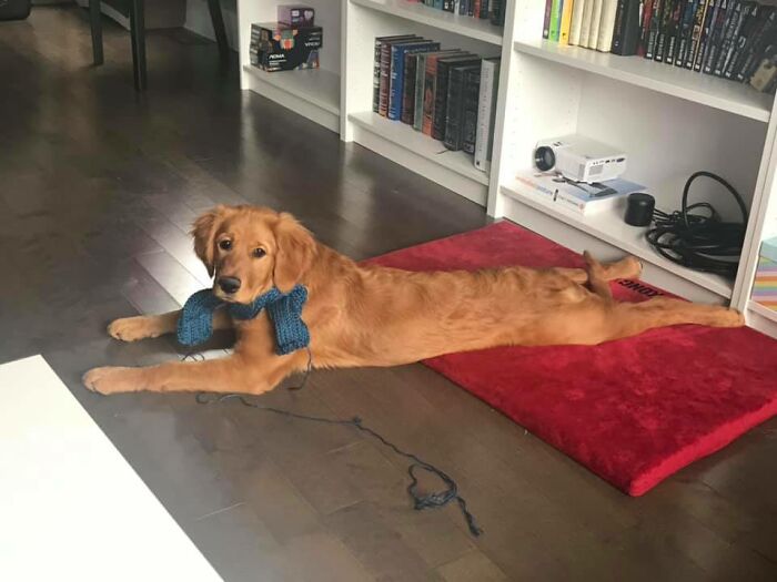 Hey Pandas, What Is The Cutest Thing On Your Camera Roll? (Closed) Hey Pandas, What Is The Cutest Thing On Your Camera Roll? (Closed)