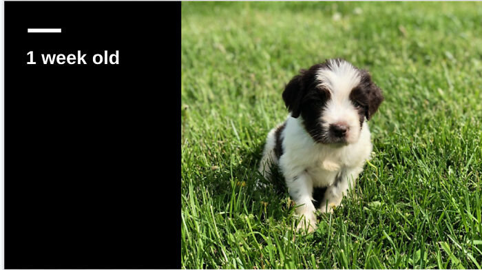 Hey Pandas, What Is The Cutest Thing On Your Camera Roll? (Closed) Hey Pandas, What Is The Cutest Thing On Your Camera Roll? (Closed)