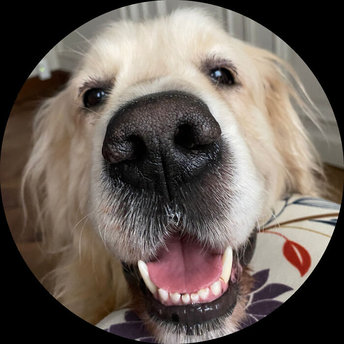 Hey Pandas, What Is The Cutest Thing On Your Camera Roll? (Closed) Hey Pandas, What Is The Cutest Thing On Your Camera Roll? (Closed)