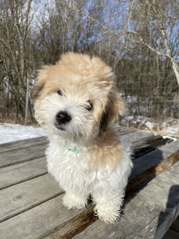 Hey Pandas, What Is The Cutest Thing On Your Camera Roll? (Closed) Hey Pandas, What Is The Cutest Thing On Your Camera Roll? (Closed)