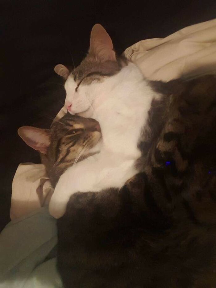 Hey Pandas, What Is The Cutest Thing On Your Camera Roll? (Closed) Hey Pandas, What Is The Cutest Thing On Your Camera Roll? (Closed)