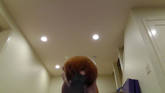 Hey Pandas, What Is The Cutest Thing On Your Camera Roll? (Closed) Hey Pandas, What Is The Cutest Thing On Your Camera Roll? (Closed)