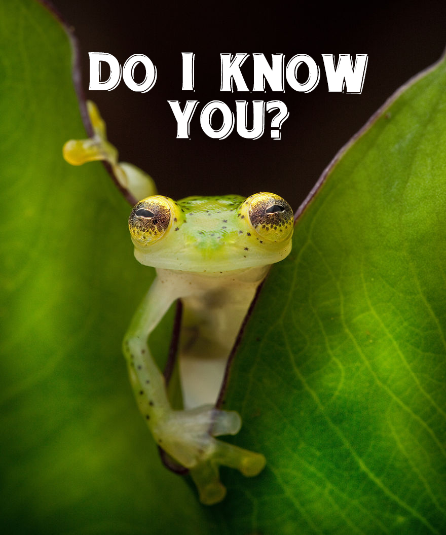 I Use Wildlife Photos From Photographers All Over The World To Create New Memes I Use Wildlife Photos From Photographers All Over The World To Create New Memes