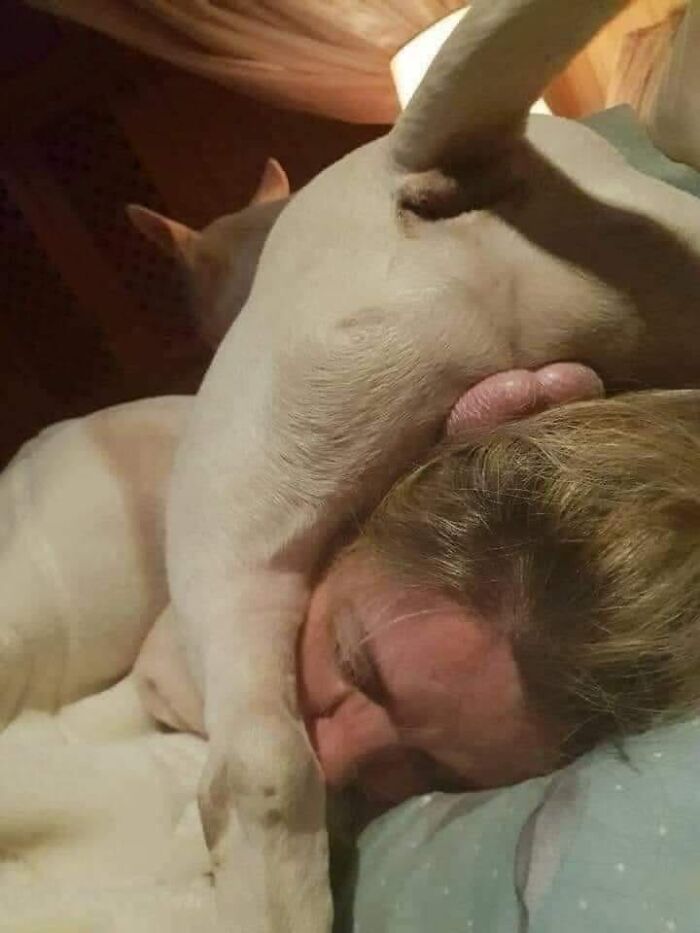 This Page Posts Pics Of Animals With Powerful Auras, And Here Are 50 Of The Most Interesting Pics (New Ones) This Page Posts Pics Of Animals With Powerful Auras, And Here Are 50 Of The Most Interesting Pics (New Ones)