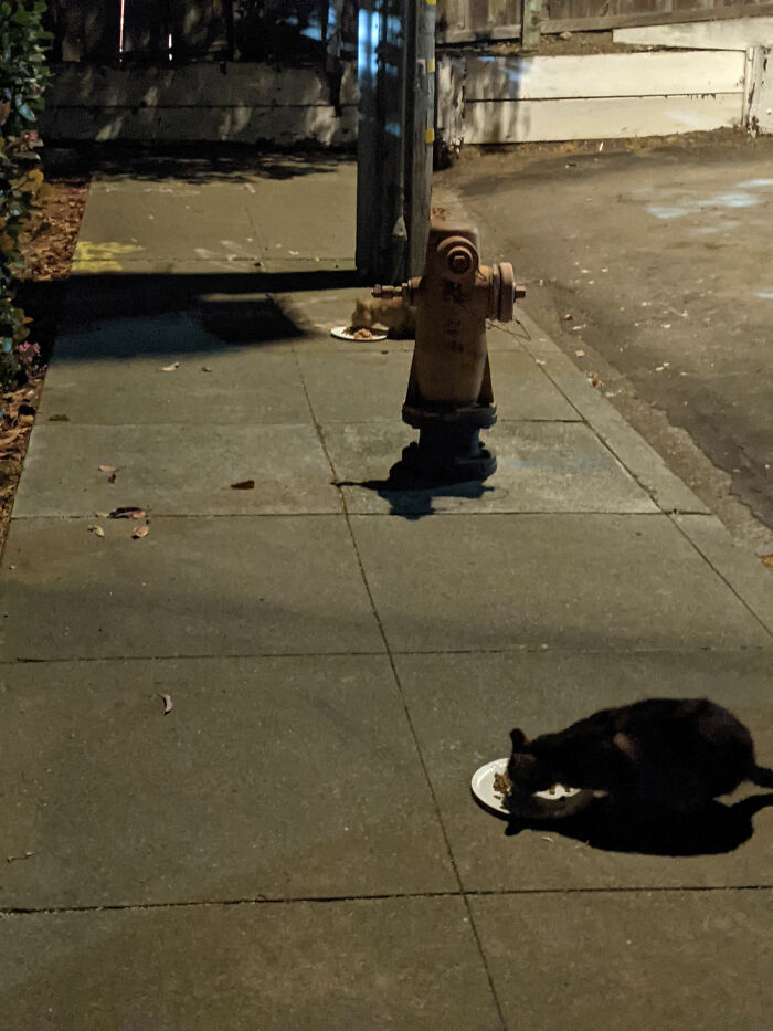 Hey Pandas, Show Us Your Photos Of Animals That Are Better At Social Distancing Than People (Closed) Hey Pandas, Show Us Your Photos Of Animals That Are Better At Social Distancing Than People (Closed)