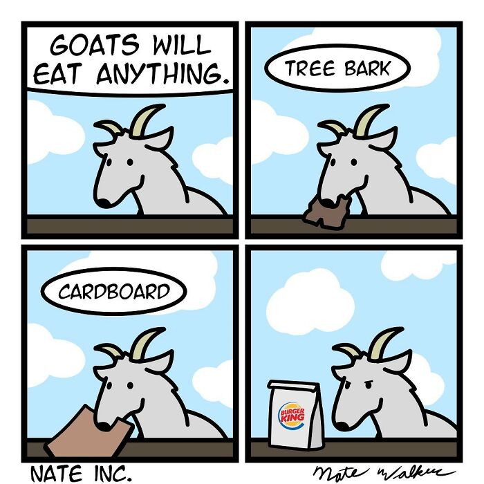 My 35 Comics With Absurd Humor (New Pics)