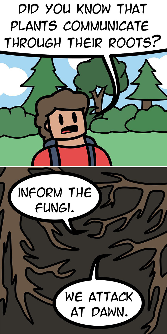 My 35 Comics With Absurd Humor (New Pics)