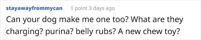 Pit Bull Accidentally Redesigns His Owner&#8217;s Ordinary T-Shirt Into An Extraordinary One